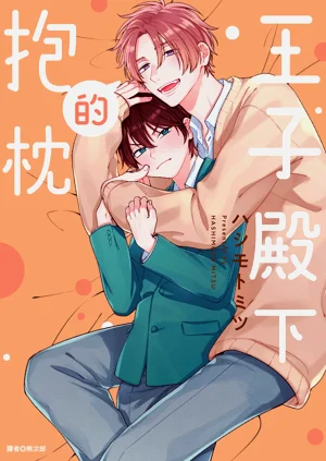 王子殿下的抱枕圖