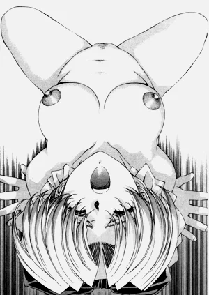 第213页图