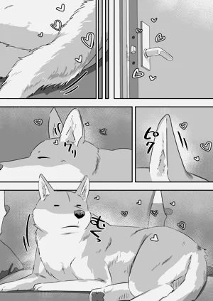 第13页图