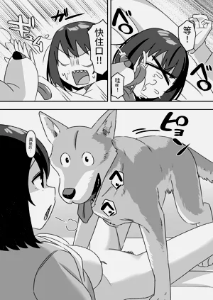 第15页图
