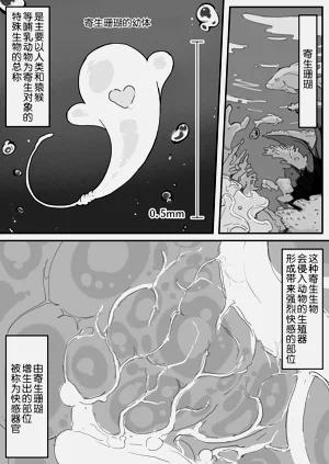 第1页图