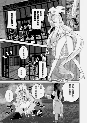 第11页图