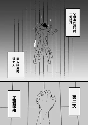 第54页图