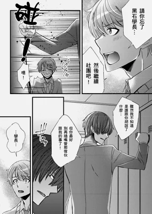 第293頁圖
