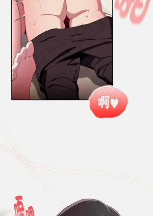第260頁圖