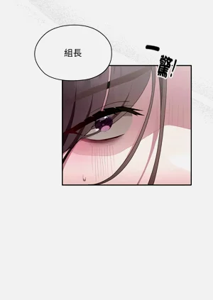 第305頁圖