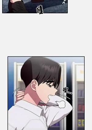 第333頁圖