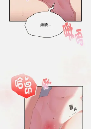 第619頁圖