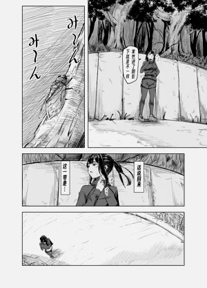 第54頁圖