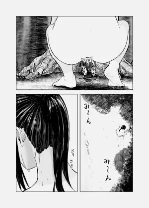 第72頁圖