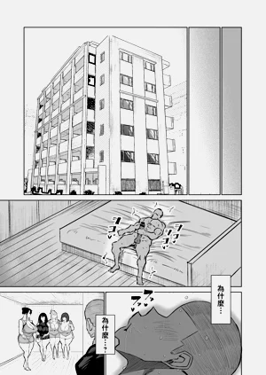 第248页图