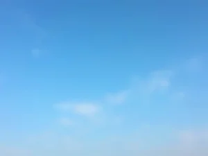 第231頁圖