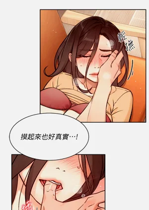 第44頁圖
