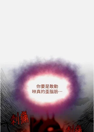 第113頁圖