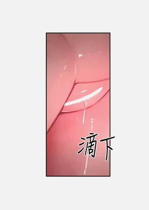 第213頁圖