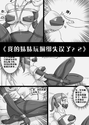 第17页图