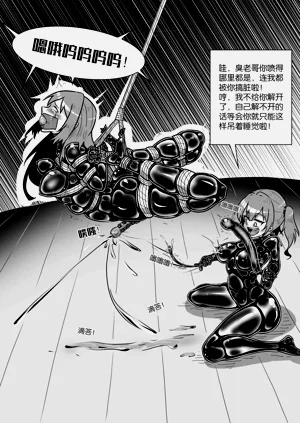 第333页图