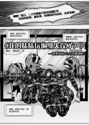 第385页图