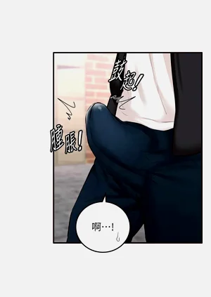 第141頁圖