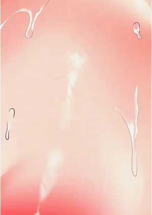 第261頁圖