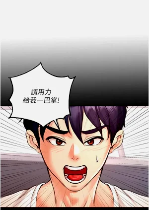 第262頁圖