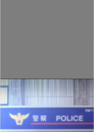 第116頁圖