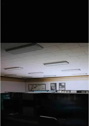 第142頁圖