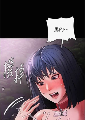 第84頁圖