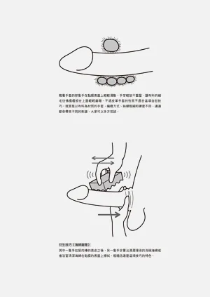 第156頁圖