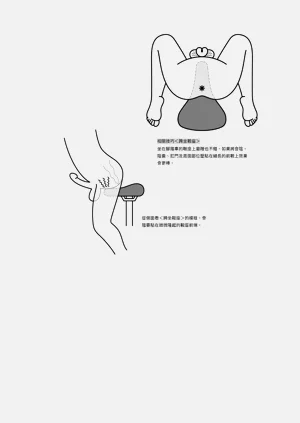 第181頁圖