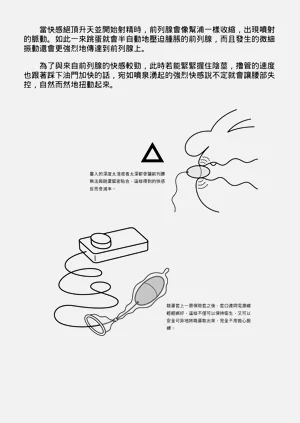 第217頁圖