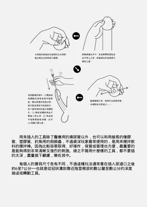 第223頁圖