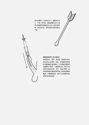 第224頁圖