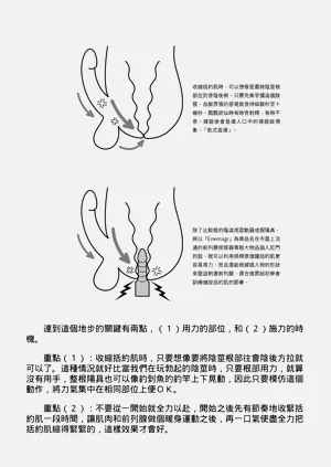 第228頁圖