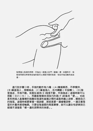 第153頁圖