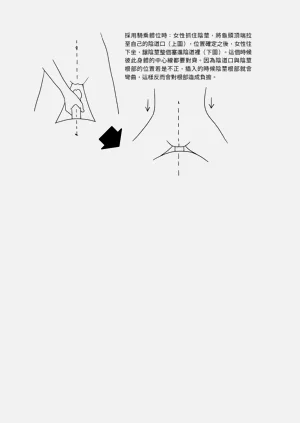 第52頁圖