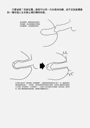 第68頁圖