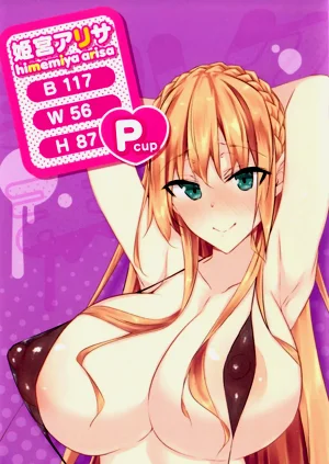 第214頁圖