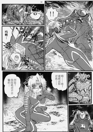第13頁圖