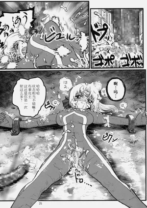 第24頁圖