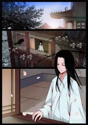 第49頁圖