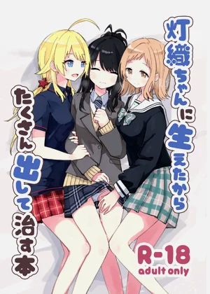第2页图