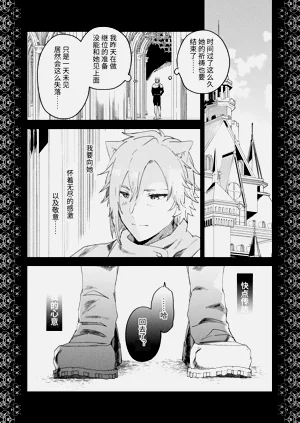 第17页图