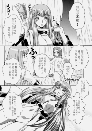第17页图