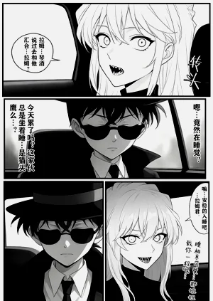 第17页图