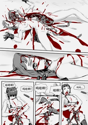 第243頁圖