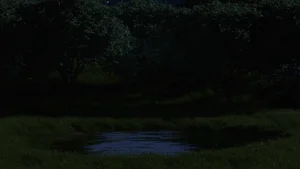 第22頁圖