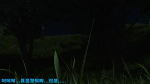 第35頁圖