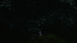 第36頁圖