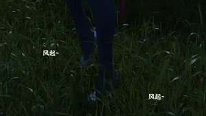 第65頁圖